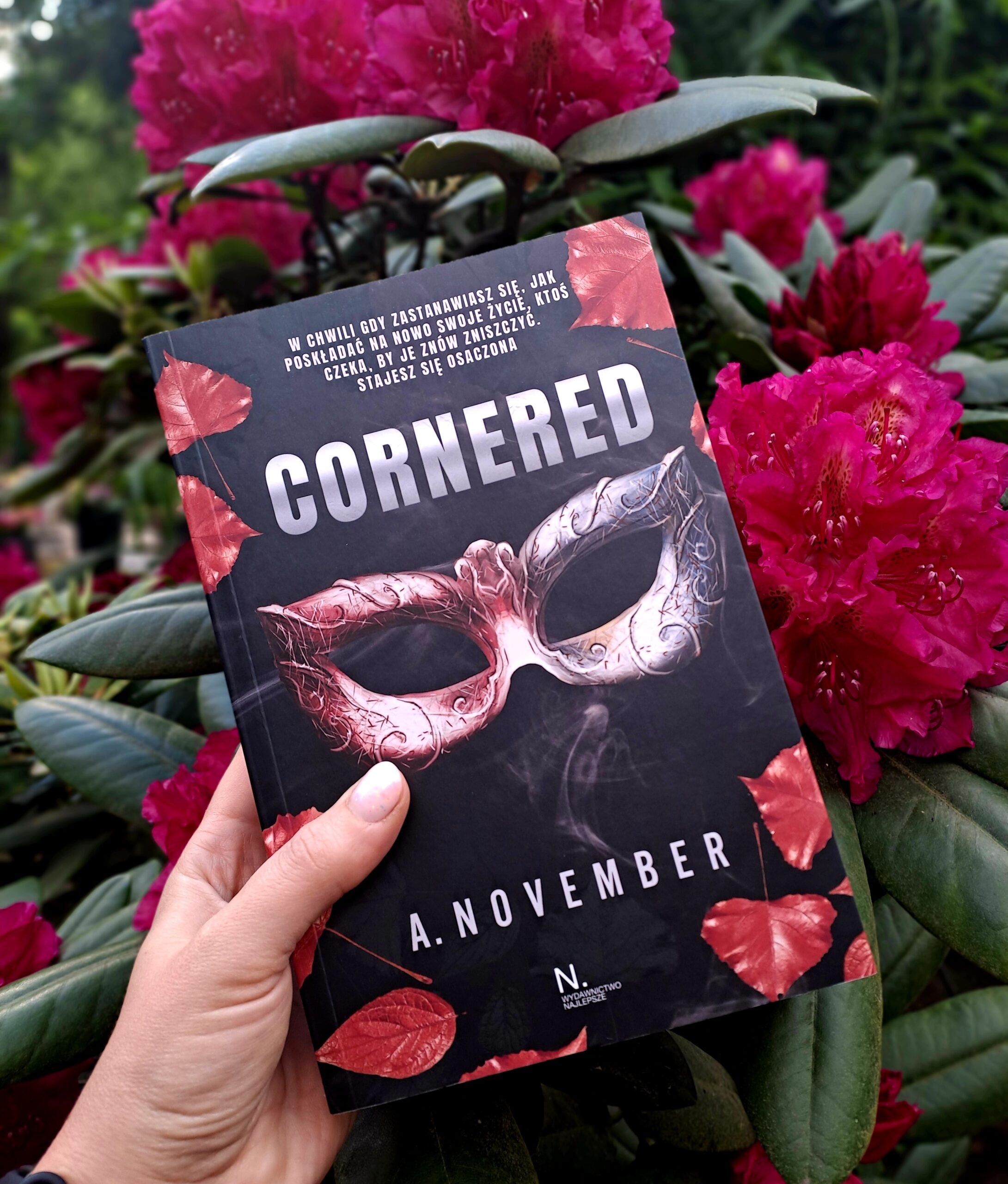 „Cornered” A. November