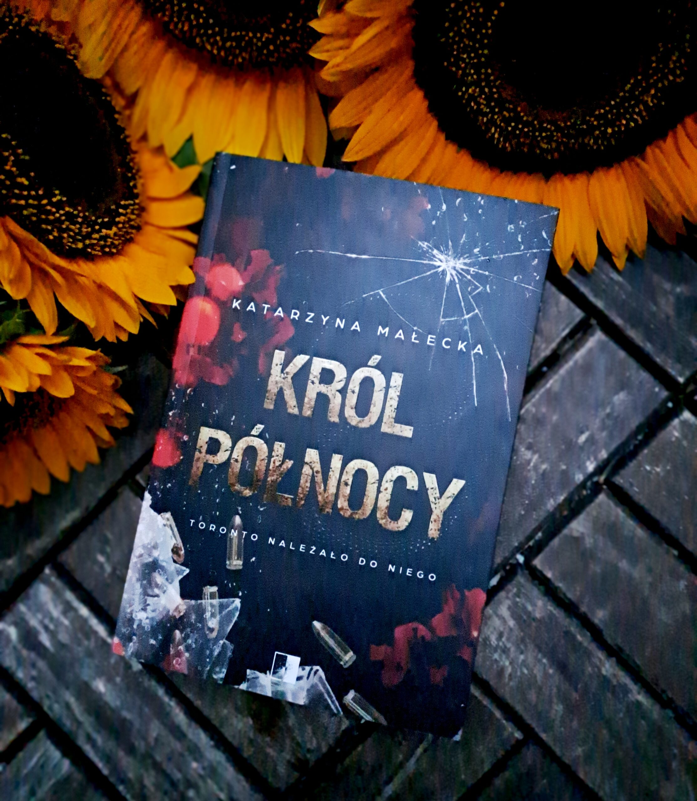 „Król północy” Katarzyna Małecka